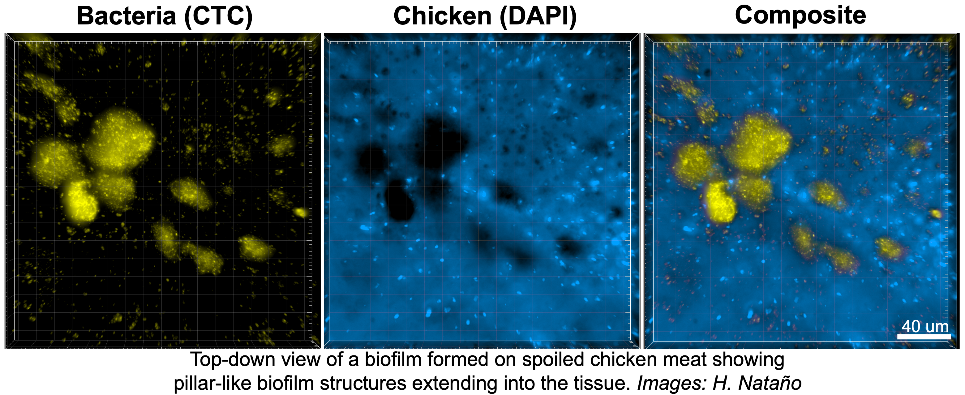 research-image